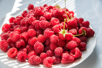 Natural ripe red raspberries on a white plate. Shade from the blinds. Selective focus.