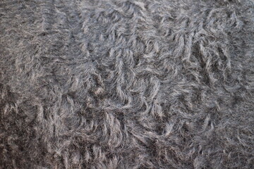 Animal fur texture Background hair gray color