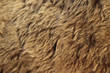 Animal fur texture Background hair gray color