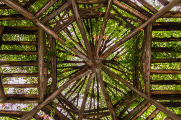 The roof of the tree house in Central Park