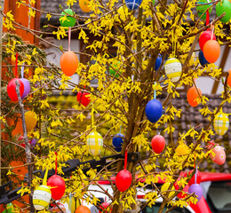 Fototapeta na wymiar Easter tree decorated with colorful Easter eggs