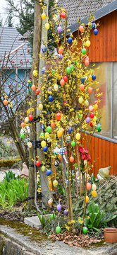 Easter tree decorated with colorful Easter eggs