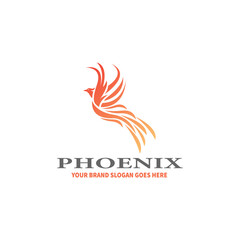 Flying Bird vector logo. Luxury bird  eagle  hawk  vector line logotype design