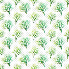 Green parsley and dill seamless pattern. Hand drawn grass watercolour. Food illustration on white background.