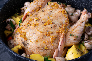 Whole raw chicken marinated in mustard, oil and spices in the stewpan prepared for cooking in the oven. Making roast