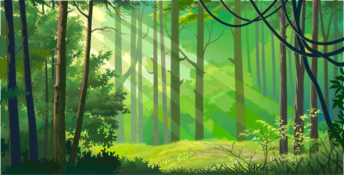 Rays of light penetrating through the jungle. Flora flouring amid big green trees.