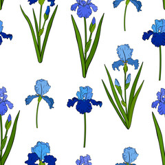 Seamless pattern Irises flowers botanical  vector illustration	