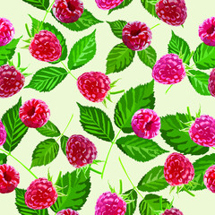 Raspberry vector seamless long background. Berry pattern