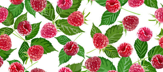 Raspberry  seamless long background. Berry pattern