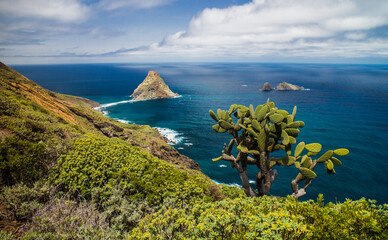 View of coastline and sea from the mountain at Tenerife