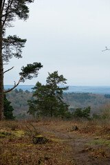 Hindhead common visit for leisure and health.