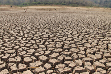 The drought land texture in Thailand. The global shortage of water on the planet. Global warming and greenhouse effect concept.