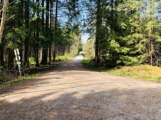 waldweg