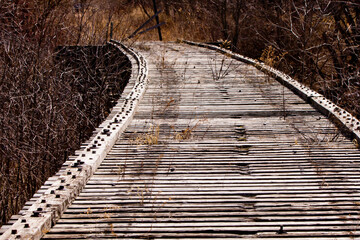 Abandoned train trestle bridge in the forest overgrown with weeds. 