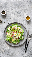 Spring salad with radish, cucumber, egg and salad leaves on a concrete plate.