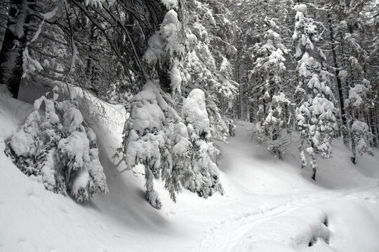zima w Tatrach, Zakopane, atak zimy, opady śniegu, śnieżyca