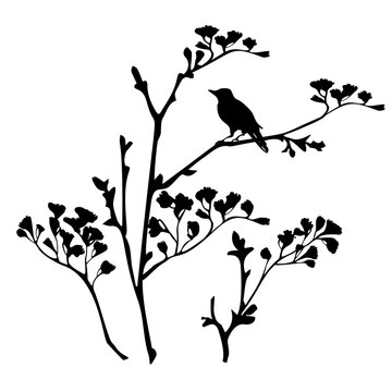 Black silhouette of a flowering bush with a bird.