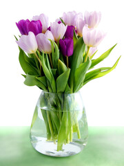 multicolor,beautiful tulips as spring flowers
