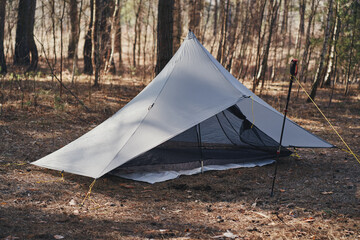 Gray ultralight  tent pyramid in a pine forest. Spring in the forest.