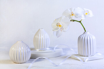 Branch of a white orchid in a vase.