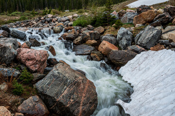stream in the forest