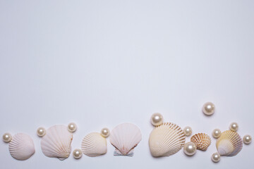 Sea shells and pearls on the white background, with free space for text. Top view, elegant flat lay. Beautiful background and template for your design.