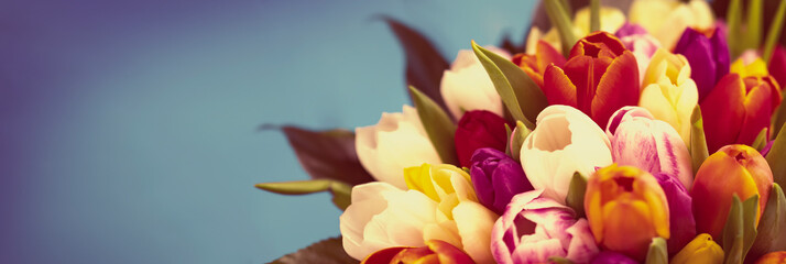 Colorful bouquet of tulips on blue background. Spring tulip flowers. Vintage greeting card with copy space for Valentine's Day and Mother's Day.