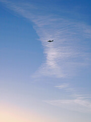 The passenger plane in the distance flies towards the sunset. Blue sky and white clouds. Vertical illustration of the resumption of international passenger air transportation