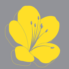 Yellow illuminating azaleas flower on ultimate gray background
