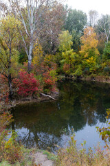 Toter Grund auf Donauinsel in Wien