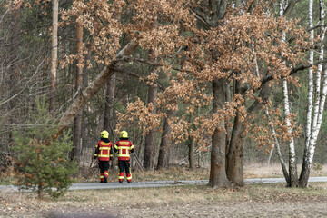 Feuerwehr im Einsatz Windwurf