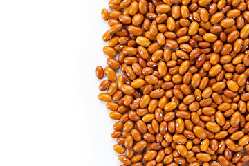 Dried orange beans on a white plate.