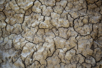 Cracked mud wall