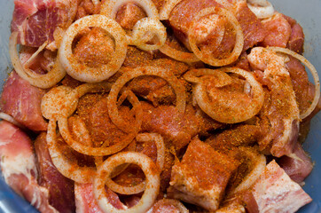 Raw marinated pork with spices:.Pepper, curry, paprika, lard, onion. Close-up