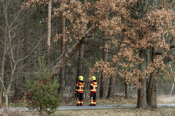 Einsatz der feuerwehr nach Sturmschaden 