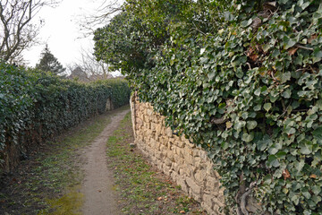 weg am ortsrand von westhofen