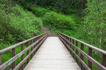 Wooden long bridge to the forest in perspective. Summer forest or park for walk.