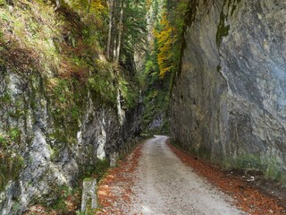 old passing road in romanian Carpathians Mountains called Cheile Dambovicioarei - touristic attraction in Dambovicioara village