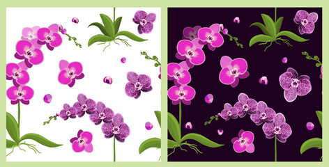 Seamless light and dark background with pink orchids. Delicate beautiful flower. Vector illustration