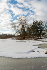Pines and various trees on the shore of a forest lake. The pond with melting ice is covered with snow. Blue sky with white clouds. Wildlife in early spring