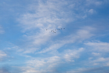 landscape of free space during the setting sun, sunset