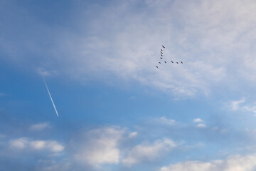 white clouds in the blue sky