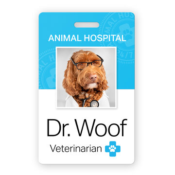 Funny animal doctor name badge. Identification placard of a veterinarian Dr. Woof, a Labradoodle dog with glasses and stethoscope. Picture ID tag used in hospital and secure areas. Isolated on white.