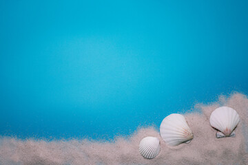 Sea shells and beach sand on the blue background, with free space for text. Top view, elegant flat lay. Beautiful background and template for your design.