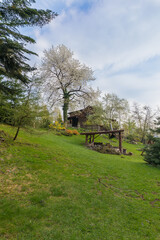 Obraz premium mountain landscape, green trees, grass,blue sky,white clouds