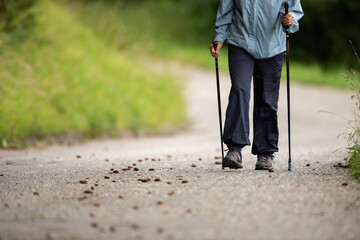 Senior person staying fit by doing daily cardio exercise, going for a fast paced power walk with sticks