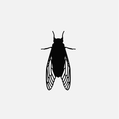 Beetle and cicada pattern