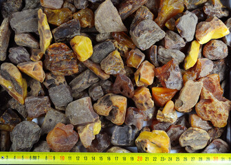 Natural genuine baltic amber raw rough stones fraction mixed lot. Royal butterscotch, egg yolk, yellow opaque and transparent, translucent honey, cognac color amber. Ruler mesuring tape.