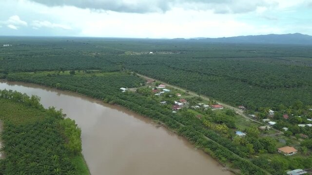 Big green plantations in Honduras with a river next to a small village