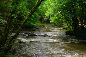 Dans l'eau des gorges de l'Auvézère à Saint-Mesmin (24270), département de Dordogne en région Nouvelle-Aquitaine, France